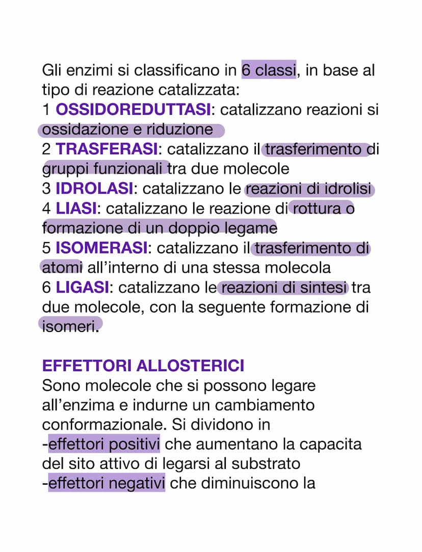 PROTEINE
AMMINOACIDI
Sono i monomeri delle proteine. Oltre a
questo, i loro derivati prendono parte anche
ad altre funzioni:
-acido amminobu