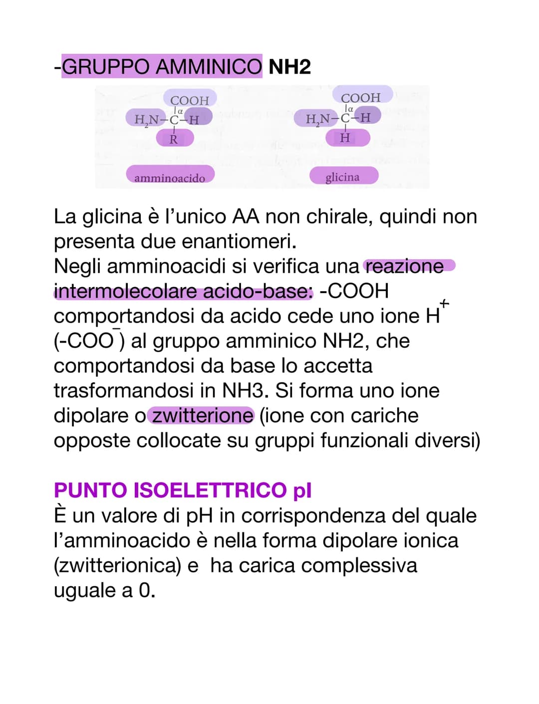PROTEINE
AMMINOACIDI
Sono i monomeri delle proteine. Oltre a
questo, i loro derivati prendono parte anche
ad altre funzioni:
-acido amminobu