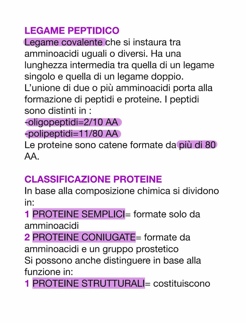 PROTEINE
AMMINOACIDI
Sono i monomeri delle proteine. Oltre a
questo, i loro derivati prendono parte anche
ad altre funzioni:
-acido amminobu