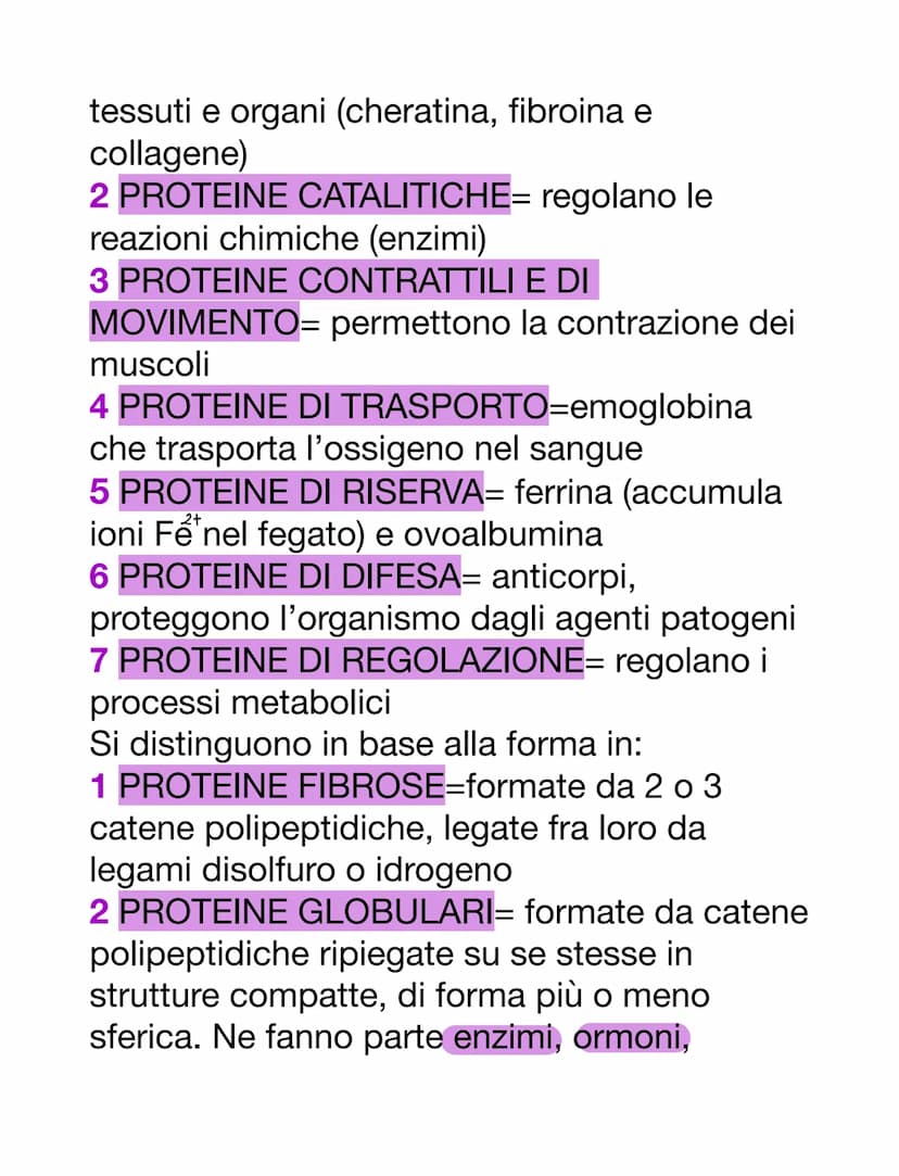 PROTEINE
AMMINOACIDI
Sono i monomeri delle proteine. Oltre a
questo, i loro derivati prendono parte anche
ad altre funzioni:
-acido amminobu