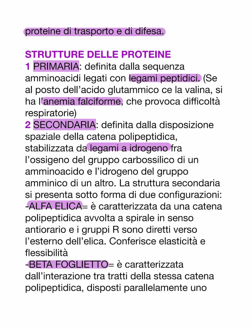 PROTEINE
AMMINOACIDI
Sono i monomeri delle proteine. Oltre a
questo, i loro derivati prendono parte anche
ad altre funzioni:
-acido amminobu