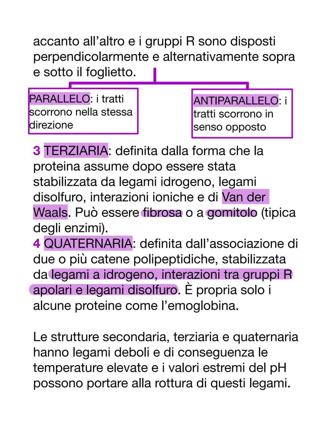 PROTEINE
AMMINOACIDI
Sono i monomeri delle proteine. Oltre a
questo, i loro derivati prendono parte anche
ad altre funzioni:
-acido amminobu