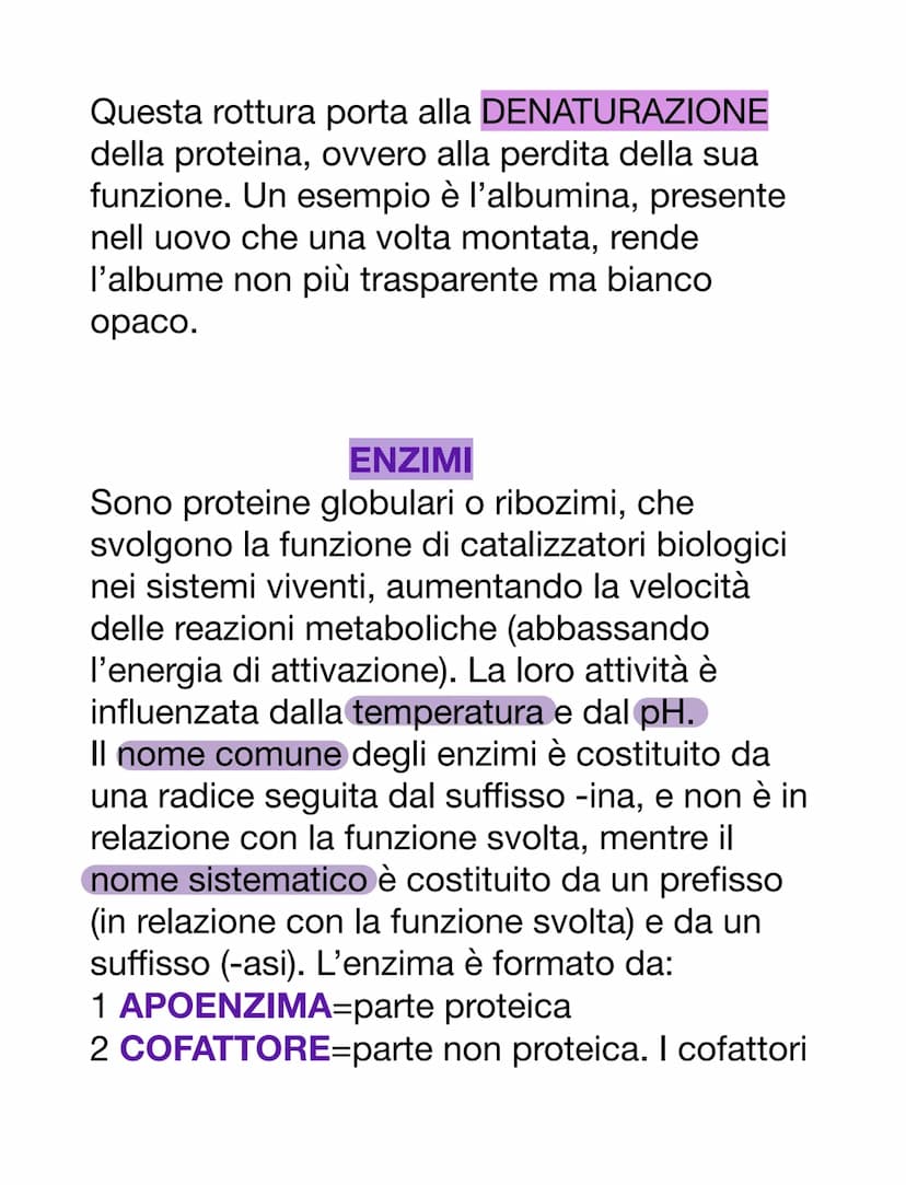 PROTEINE
AMMINOACIDI
Sono i monomeri delle proteine. Oltre a
questo, i loro derivati prendono parte anche
ad altre funzioni:
-acido amminobu