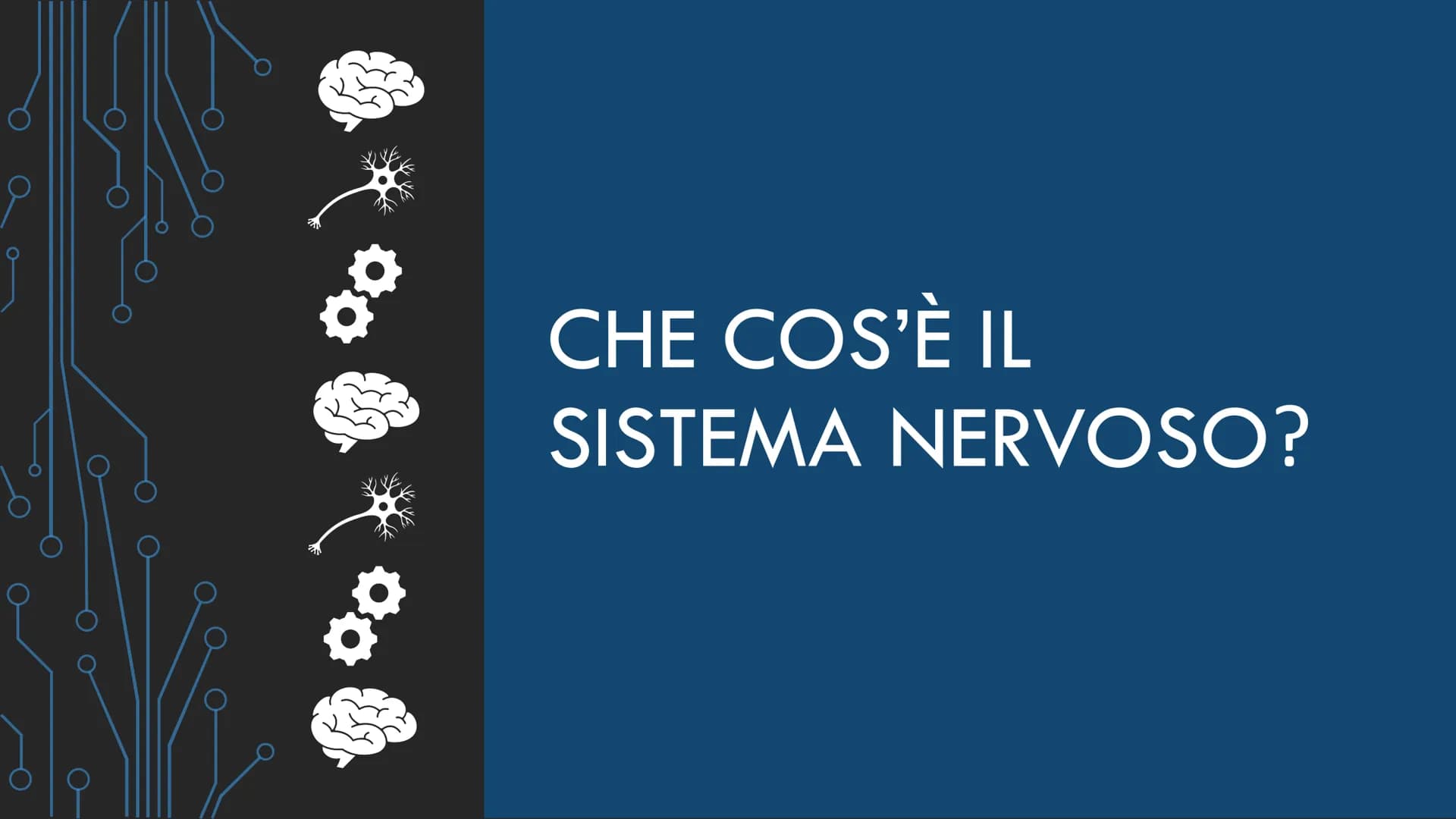 ***
CHE COS'È IL
SISTEMA NERVOSO? È FORMATO DA:
CERVELLO
MIDOLLO SPINALE
ORGANI DI SENSO
NERVI
AL SUO INTERNO È
POSSIBILE
DISTINGUERE UN
SIS
