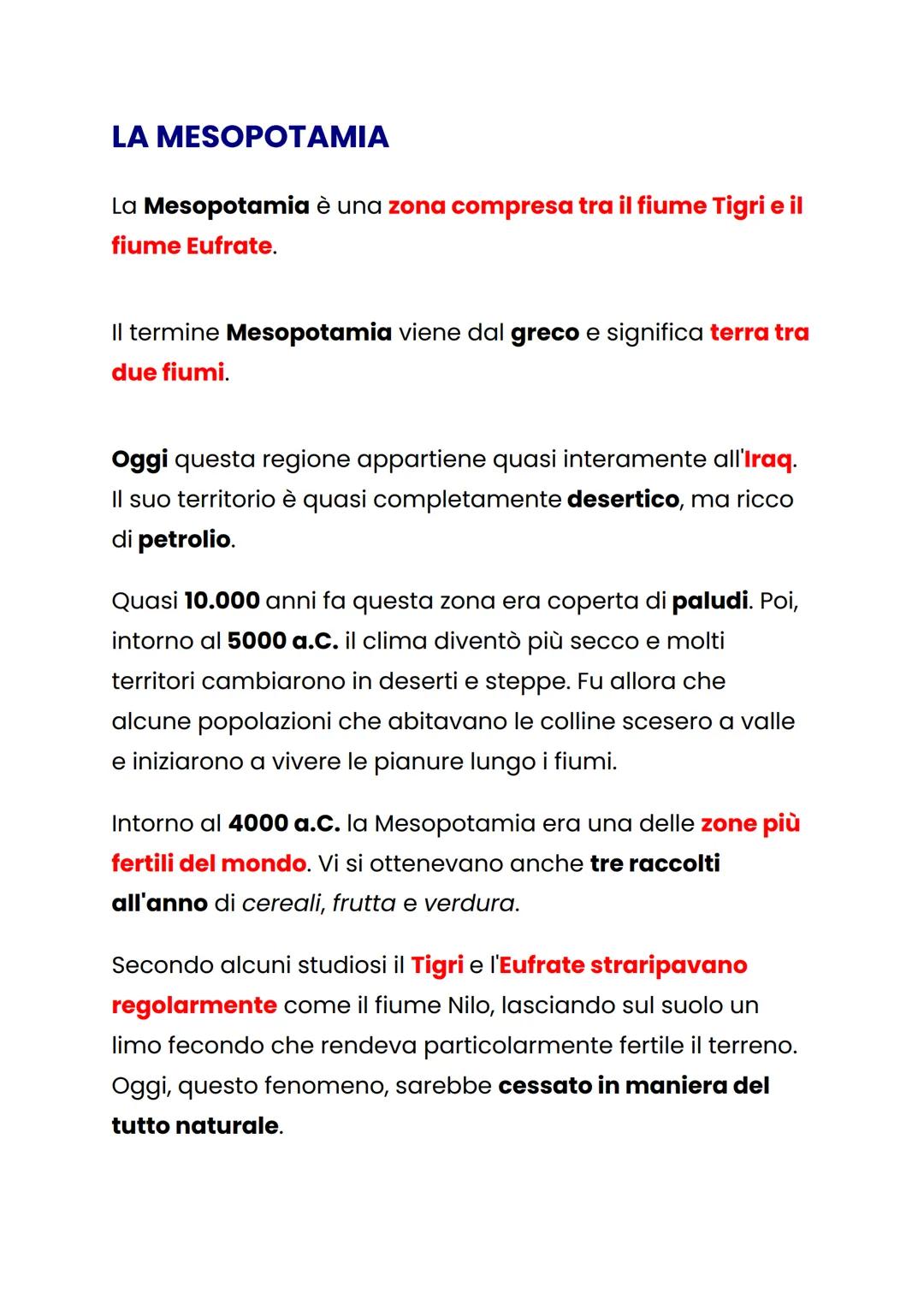 I SUMERI
Ancora oggi non sappiamo con sicurezza da dove sono
giunti i Sumeri:
• forse provenivano dall'altopiano dell'Iran;
• o forse dal te