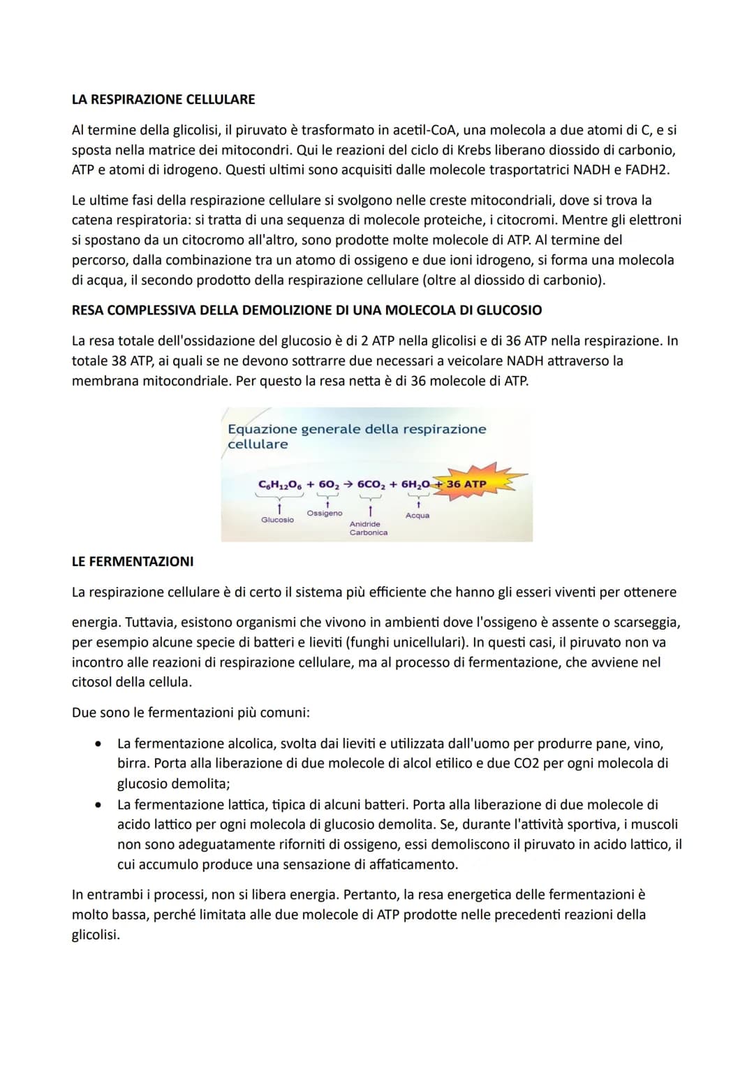 LA CELLULA E IL SUO METABOLISMO
Negli organuli cellulari, si svolgono reazioni chimiche, che possiamo considerare il lavoro della
cellula e 