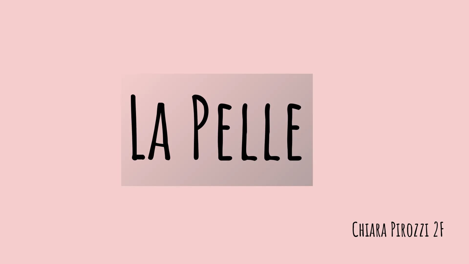 LA PELLE
CHIARA PIROZZI 2F FUNZIONE:
PROTEZIONE
EPIDERMIDE
DERMA
IPODERMA
IL TESSUTO EPITELIALE
Matrice
Ungueale Eponichio Lunula
Lamina/Cor