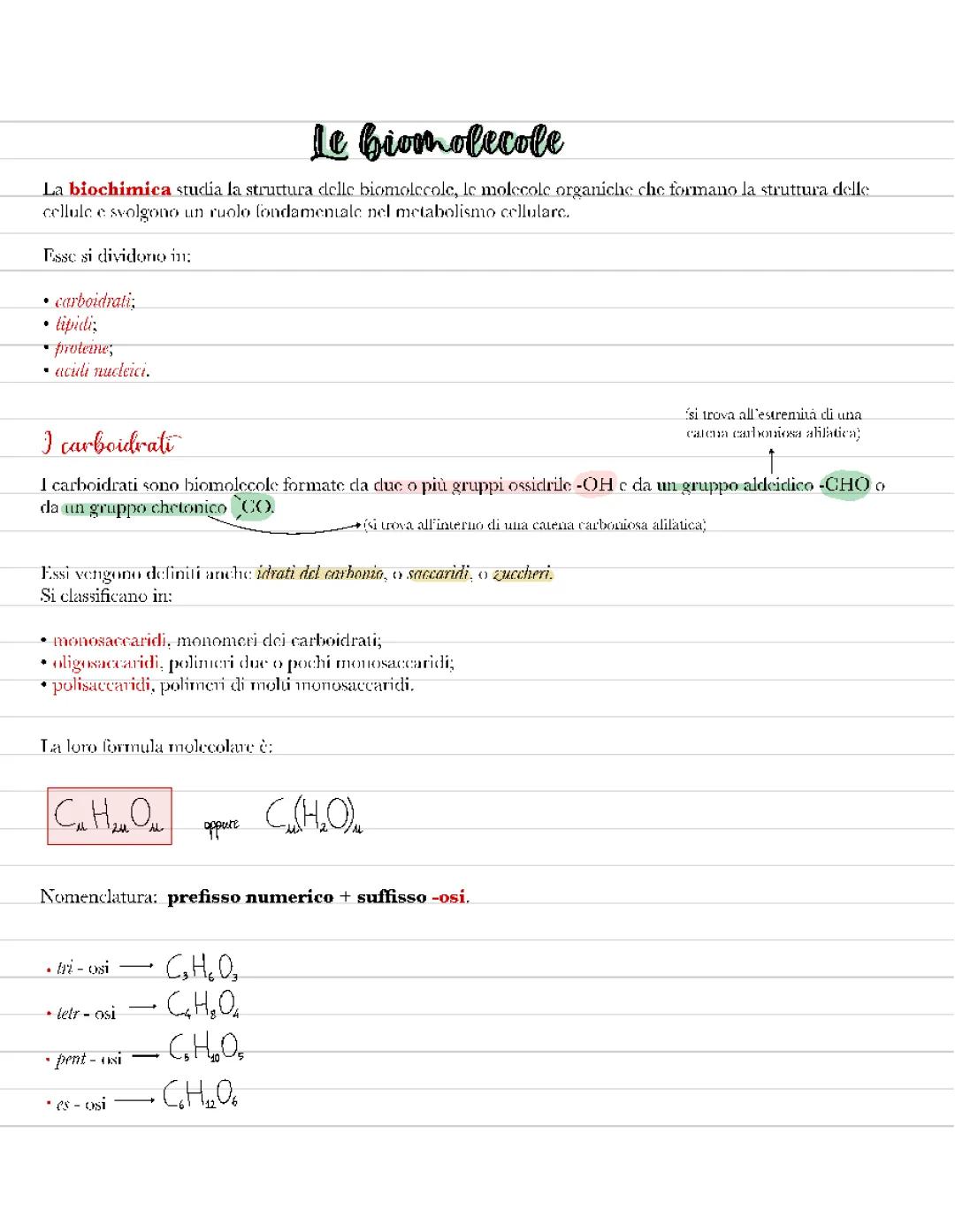 Le biomolecole - i carboidrati 