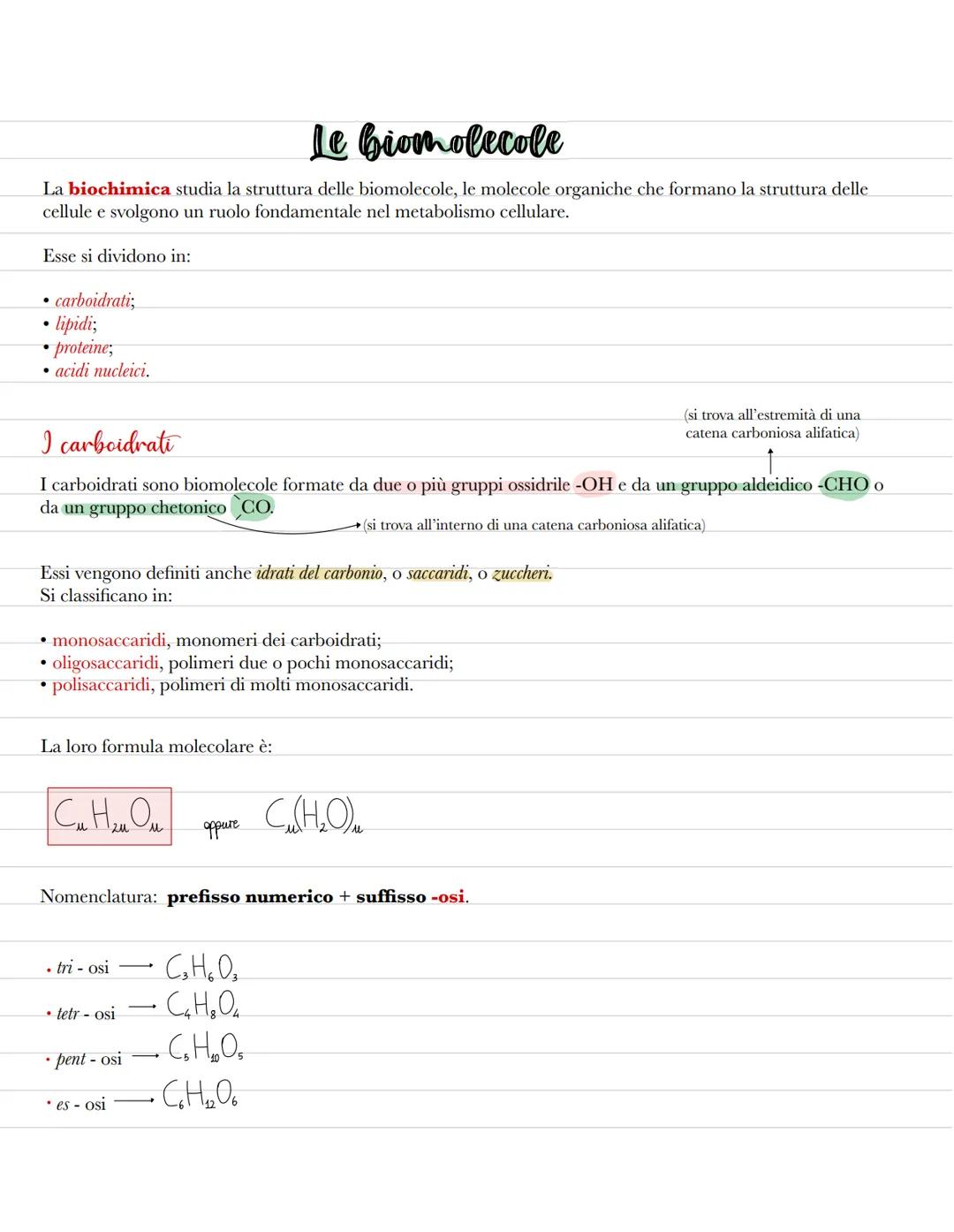 Le biomolecole
La biochimica studia la struttura delle biomolecole, le molecole organiche che formano la struttura delle
cellule e svolgono 