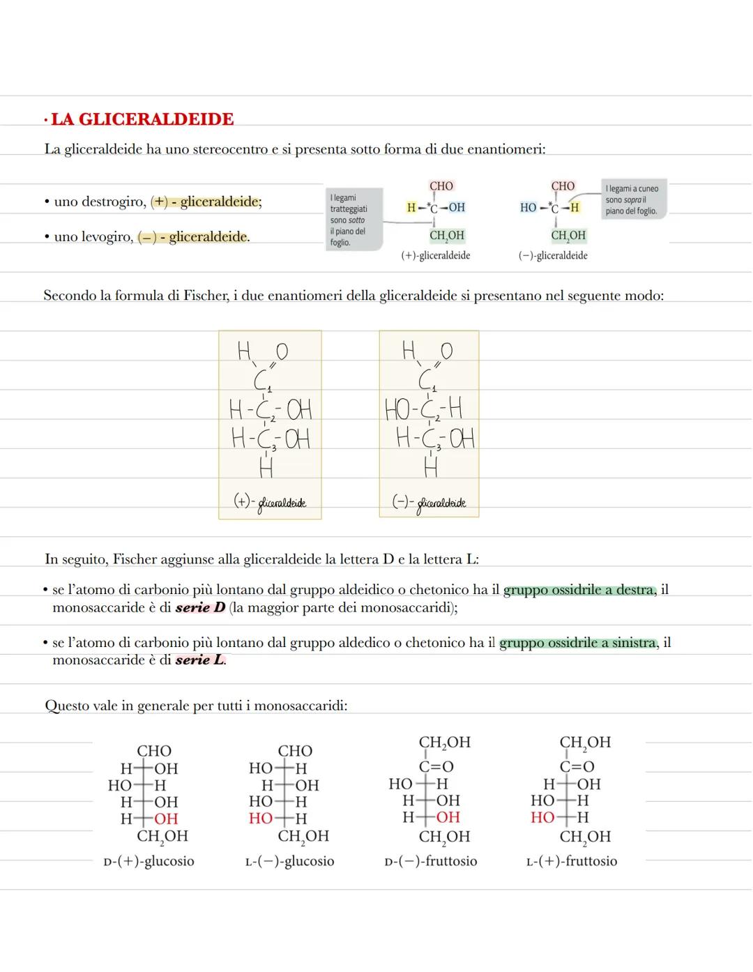 Le biomolecole
La biochimica studia la struttura delle biomolecole, le molecole organiche che formano la struttura delle
cellule e svolgono 