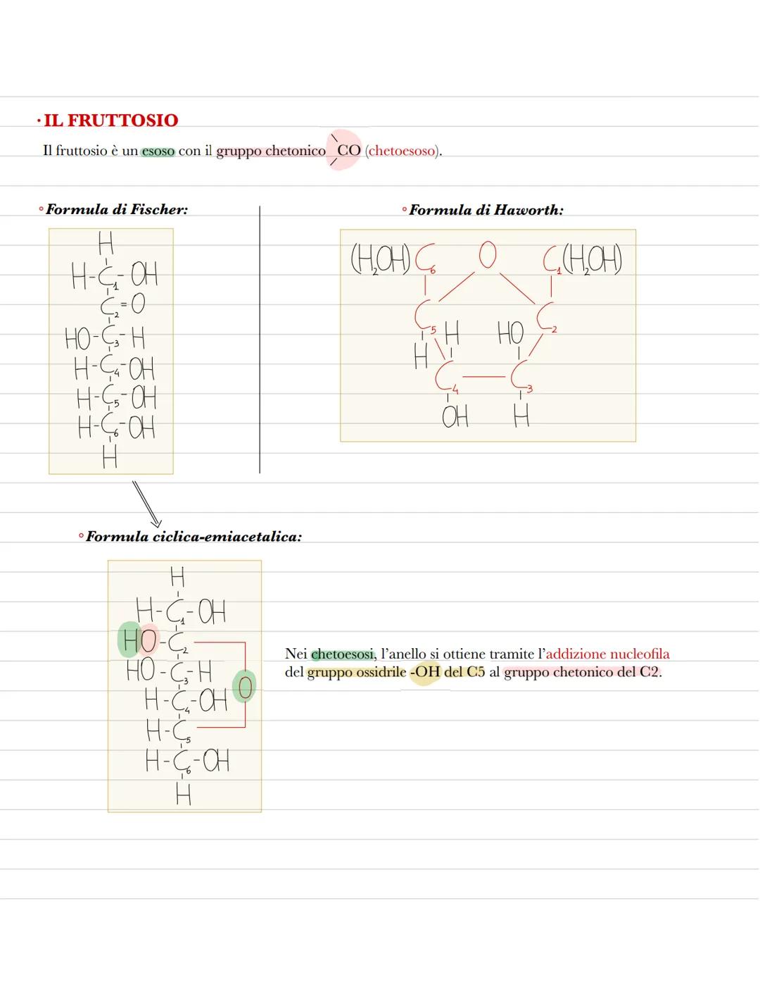 Le biomolecole
La biochimica studia la struttura delle biomolecole, le molecole organiche che formano la struttura delle
cellule e svolgono 