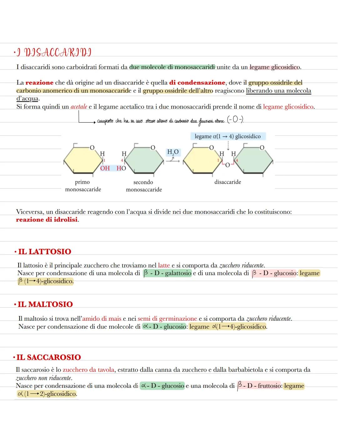 Le biomolecole
La biochimica studia la struttura delle biomolecole, le molecole organiche che formano la struttura delle
cellule e svolgono 