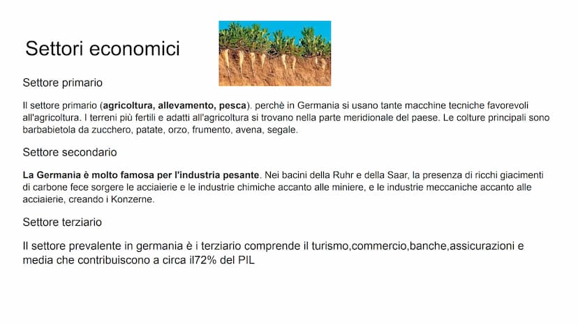 GERMANIA TERRITORIO
CONFINI:
La Germania confina a nord con la Danimarca. A ovest con i
Paesi Bassi, con il Belgio, Lussemburgo e Francia. A