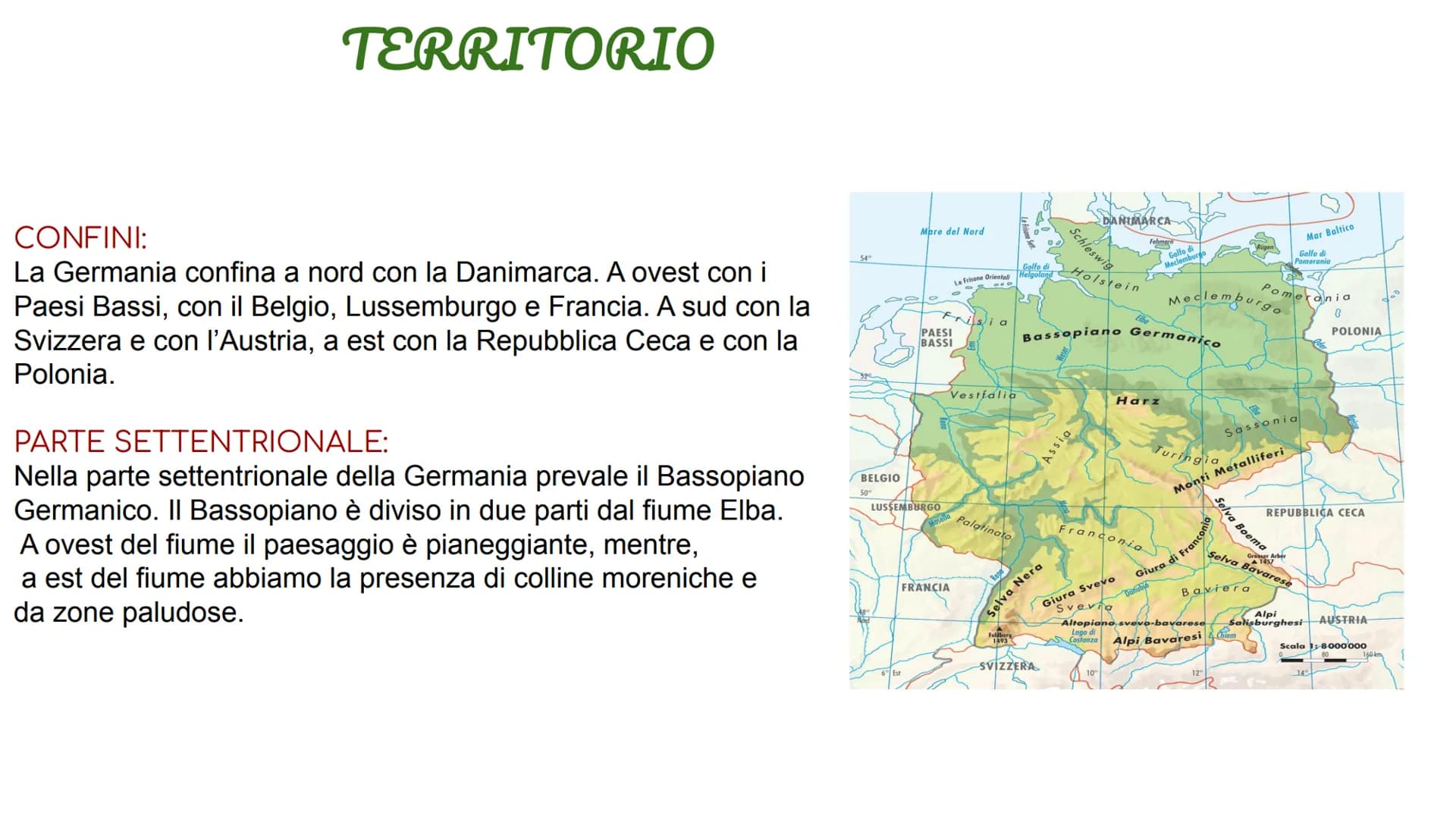 GERMANIA TERRITORIO
CONFINI:
La Germania confina a nord con la Danimarca. A ovest con i
Paesi Bassi, con il Belgio, Lussemburgo e Francia. A