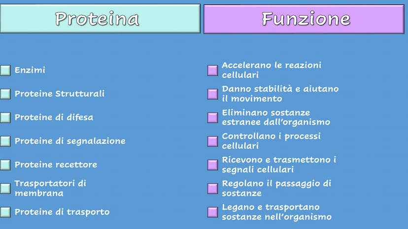 Le Proteine Cosa sono?
Proteine = polimeri
Amminoacidi = monomeri
Sono importanti?
Le proteine sono importanti.
Sono le molecole biologiche 