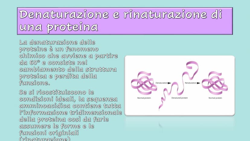 Le Proteine Cosa sono?
Proteine = polimeri
Amminoacidi = monomeri
Sono importanti?
Le proteine sono importanti.
Sono le molecole biologiche 