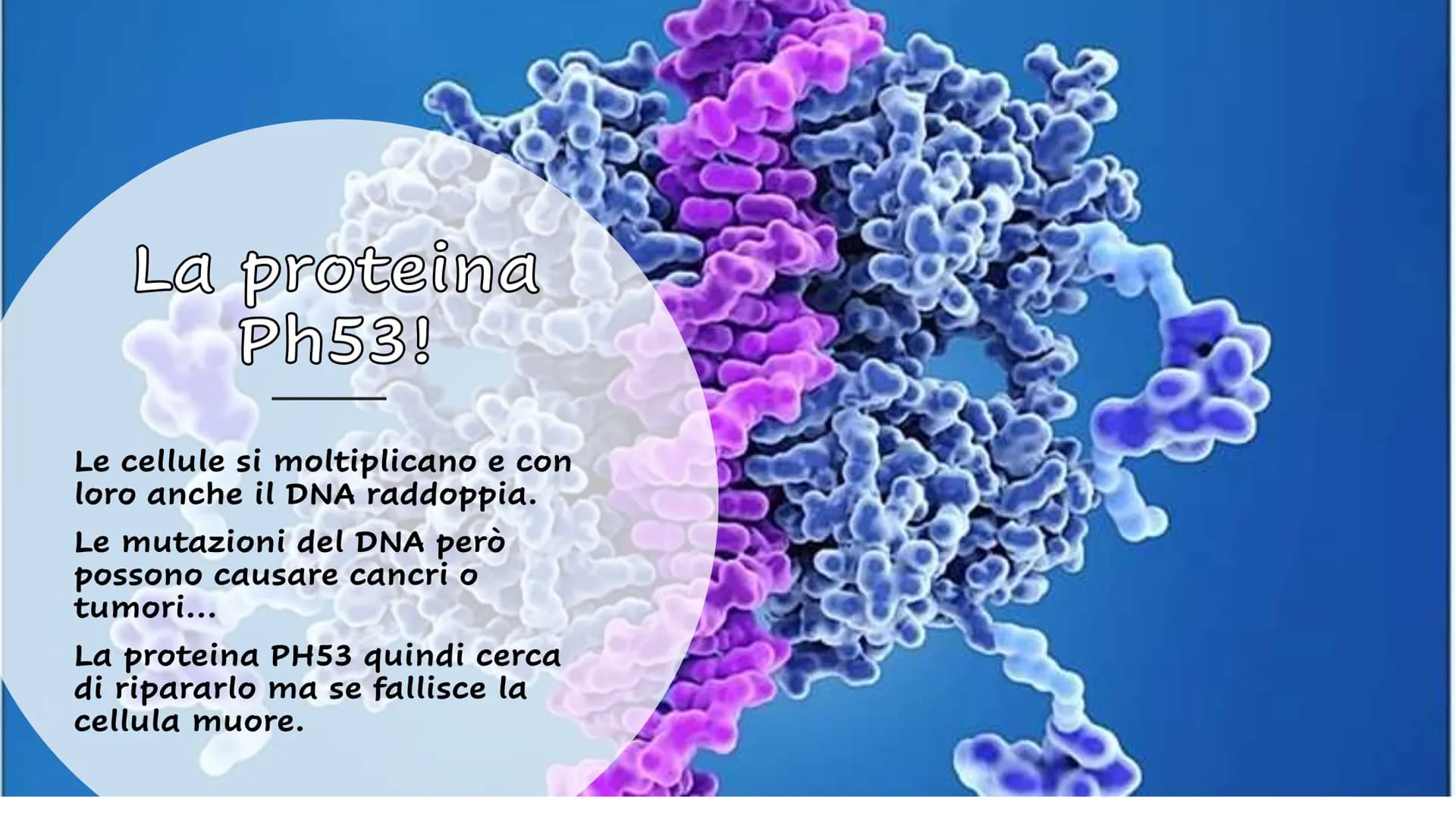 Le Proteine Cosa sono?
Proteine = polimeri
Amminoacidi = monomeri
Sono importanti?
Le proteine sono importanti.
Sono le molecole biologiche 