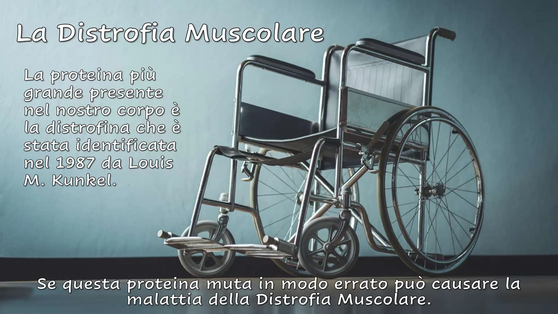 Le Proteine Cosa sono?
Proteine = polimeri
Amminoacidi = monomeri
Sono importanti?
Le proteine sono importanti.
Sono le molecole biologiche 