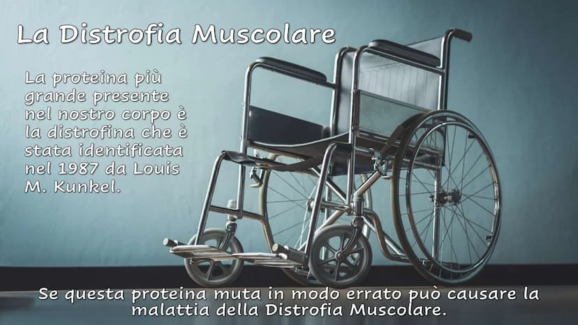 Le Proteine Cosa sono?
Proteine = polimeri
Amminoacidi = monomeri
Sono importanti?
Le proteine sono importanti.
Sono le molecole biologiche 