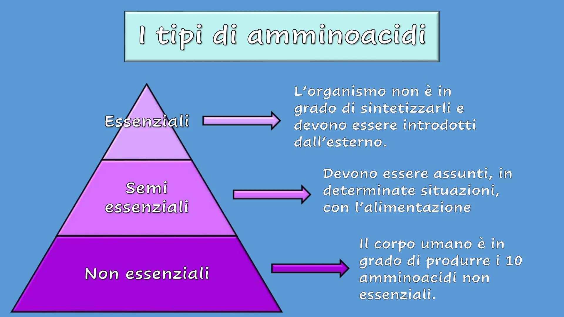 Le Proteine Cosa sono?
Proteine = polimeri
Amminoacidi = monomeri
Sono importanti?
Le proteine sono importanti.
Sono le molecole biologiche 