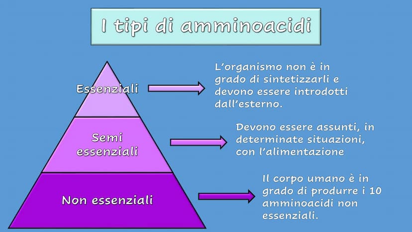 Le Proteine Cosa sono?
Proteine = polimeri
Amminoacidi = monomeri
Sono importanti?
Le proteine sono importanti.
Sono le molecole biologiche 