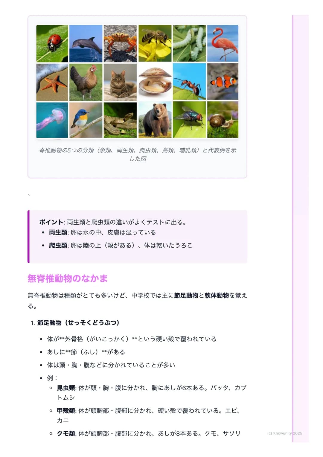 # 動物の分類

## 動物の分類の基本

いろいろな動物を、体のつくりや生活のしかたの共通点や違いをもとにして、な
かま分けすることを分類という。分類することで、動物の進化のようすもわか
る。まず、一番大きな分け方として、背骨があるかないかで分ける。

## 重要な言葉と基本
