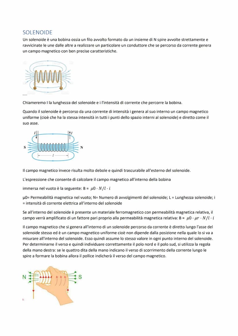 
<p>Un minerale di ferro, la magnetite, ha la proprietà di attrarre la limatura di ferro, in particolare in alcuni punti della sua superfici