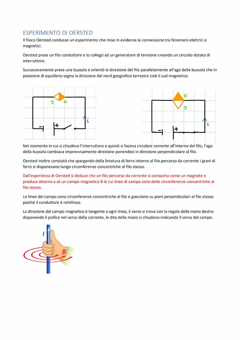 
<p>Un minerale di ferro, la magnetite, ha la proprietà di attrarre la limatura di ferro, in particolare in alcuni punti della sua superfici