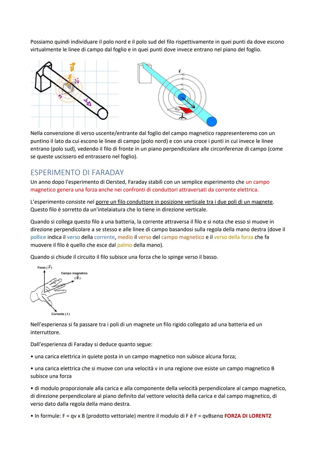 
<p>Un minerale di ferro, la magnetite, ha la proprietà di attrarre la limatura di ferro, in particolare in alcuni punti della sua superfici