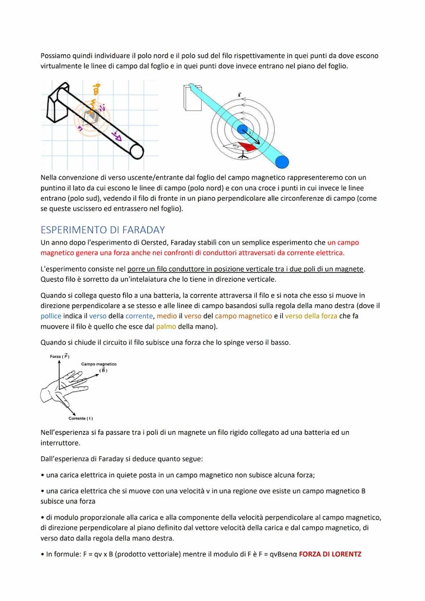 
<p>Un minerale di ferro, la magnetite, ha la proprietà di attrarre la limatura di ferro, in particolare in alcuni punti della sua superfici