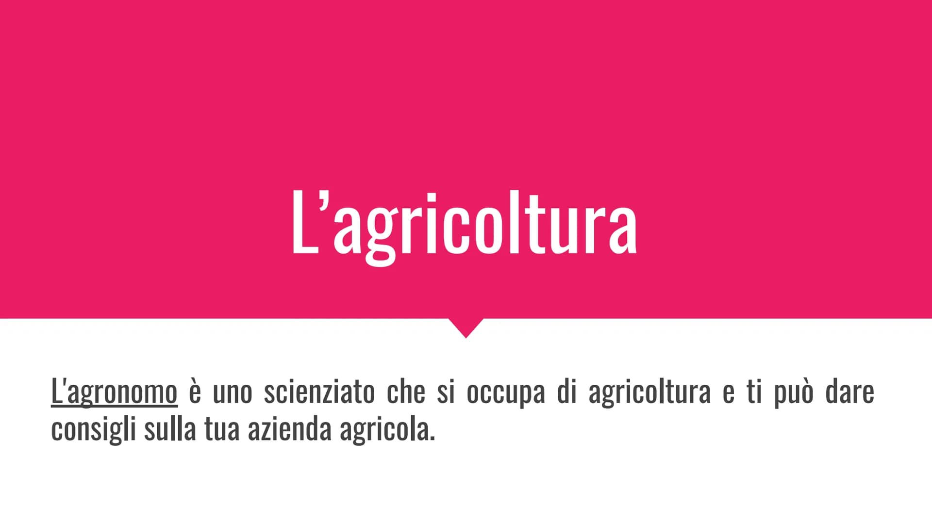 L'agricoltura
L'agronomo è uno scienziato che si occupa di agricoltura e ti può dare
consigli sulla tua azienda agricola. -aratura
-scarific