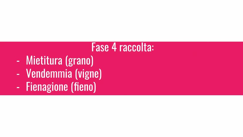 L'agricoltura
L'agronomo è uno scienziato che si occupa di agricoltura e ti può dare
consigli sulla tua azienda agricola. -aratura
-scarific