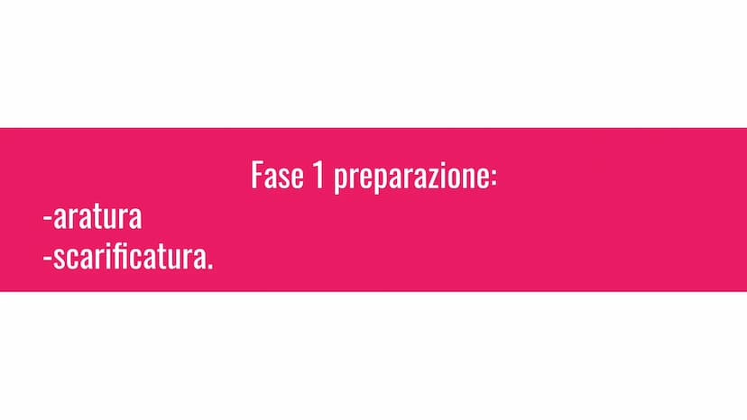 L'agricoltura
L'agronomo è uno scienziato che si occupa di agricoltura e ti può dare
consigli sulla tua azienda agricola. -aratura
-scarific