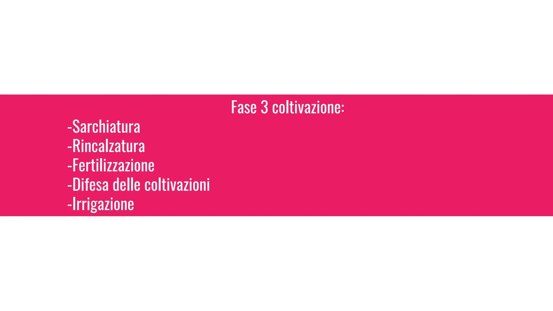 L'agricoltura
L'agronomo è uno scienziato che si occupa di agricoltura e ti può dare
consigli sulla tua azienda agricola. -aratura
-scarific