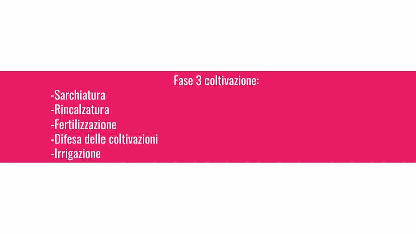 L'agricoltura
L'agronomo è uno scienziato che si occupa di agricoltura e ti può dare
consigli sulla tua azienda agricola. -aratura
-scarific