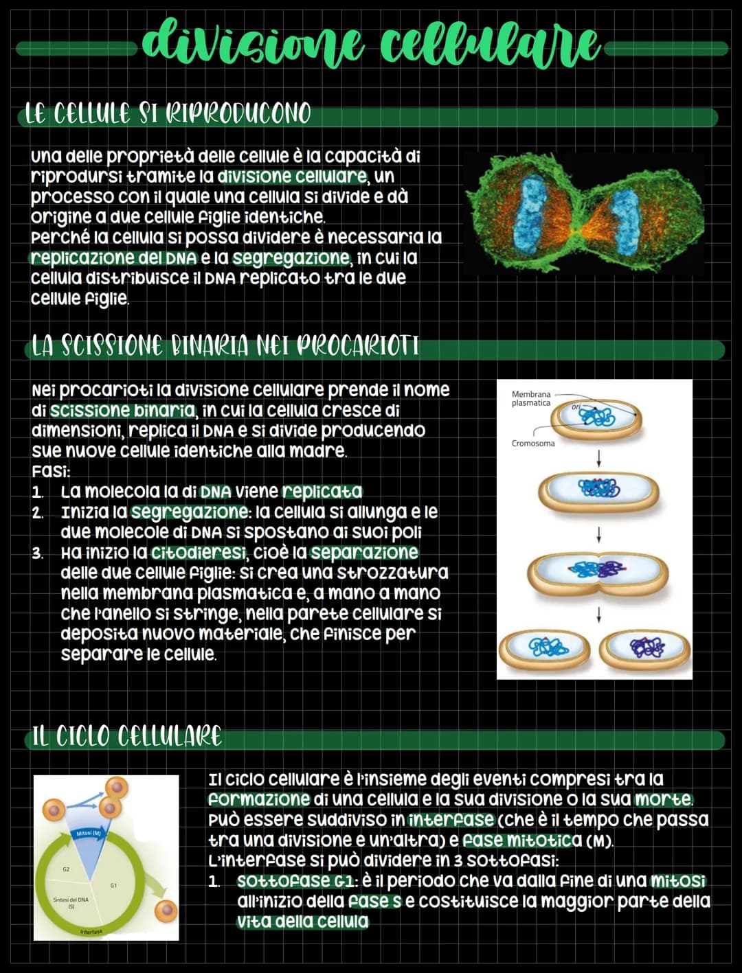 
<p>Una delle proprietà delle cellule è la capacità di riprodursi tramite la divisione cellulare, un processo con il quale una cellula si di