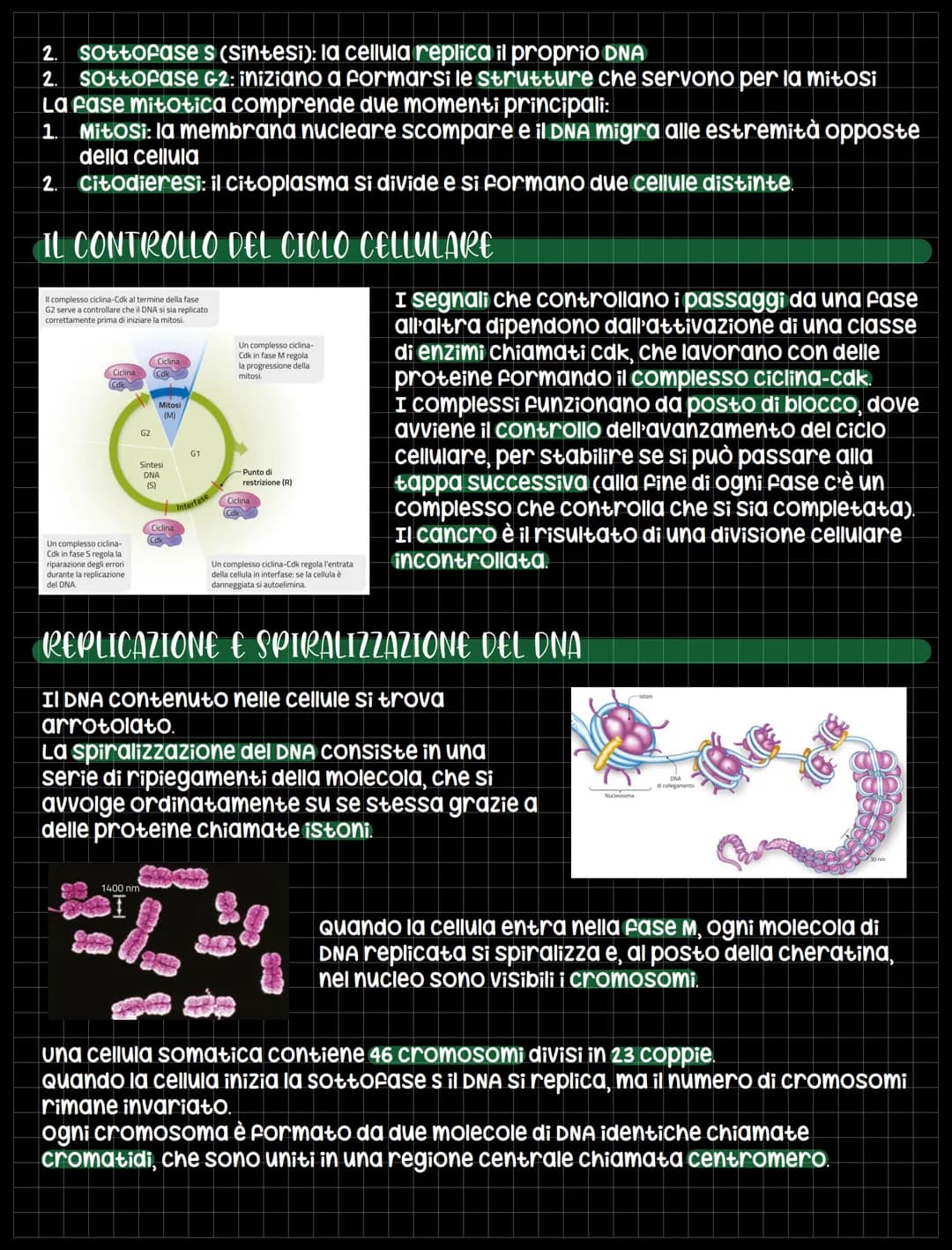 
<p>Una delle proprietà delle cellule è la capacità di riprodursi tramite la divisione cellulare, un processo con il quale una cellula si di