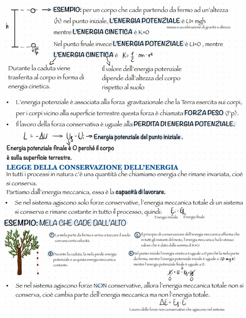 IL LAVORO DI UNA FORZA
Per valutare in termini quantitativi gli effetti di una forza su un corpo durante il suo
spostamento si usa il "lavor