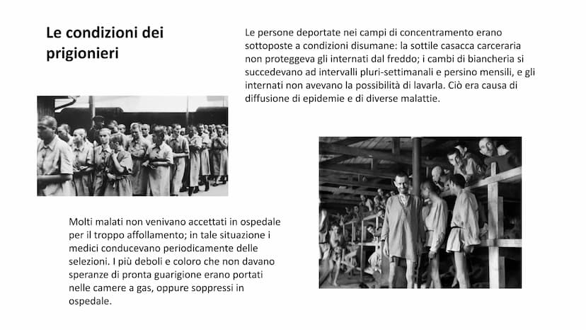 
<p>La Shoah, termine ebraico che significa “tempesta devastante”, rappresenta la persecuzione e la eliminazione sistematica di milioni di e