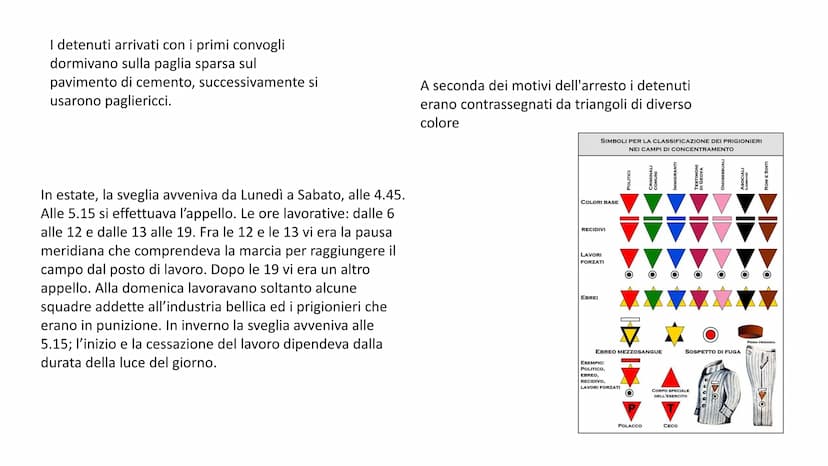 
<p>La Shoah, termine ebraico che significa “tempesta devastante”, rappresenta la persecuzione e la eliminazione sistematica di milioni di e