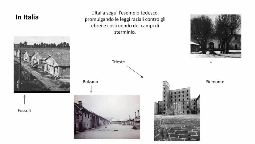 
<p>La Shoah, termine ebraico che significa “tempesta devastante”, rappresenta la persecuzione e la eliminazione sistematica di milioni di e