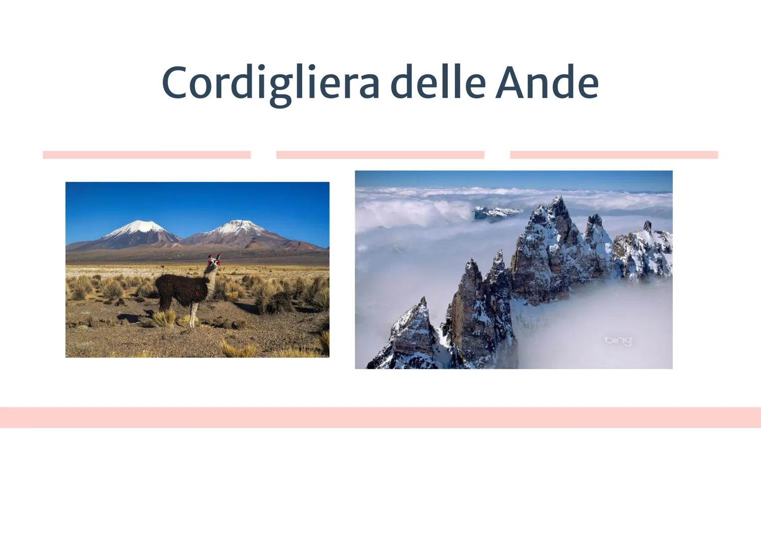 Le Americhe

• America del Nord Anglosassone

• America Centrale
Latina
• America del Sud

USA
CANADA

USA

PACIFIC
OCEAN
MEXICO

W
E

DELE
