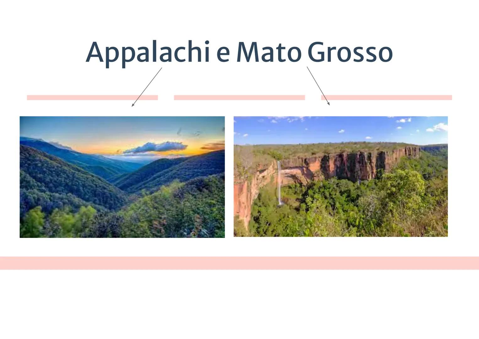 Le Americhe

• America del Nord Anglosassone

• America Centrale
Latina
• America del Sud

USA
CANADA

USA

PACIFIC
OCEAN
MEXICO

W
E

DELE
