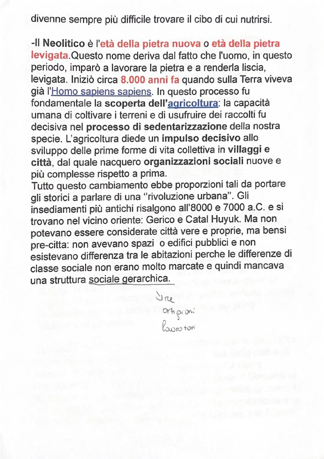 LA MEZZALUNA FERTILE
La mezzaluna fertile fu anche l'area in cui fiorirono le due
più antiche civiltà della storia umana:
la società egizia 