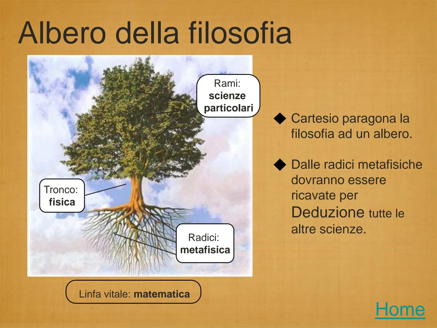 Cartesio
1596-1650 Il Metodo;
●
Il Dubbio Metodico e Iperbolico;
●
●
Il Cogito Ergo Sum;
Le Idee Contenute Nel Cogito;
Dio garante di verità