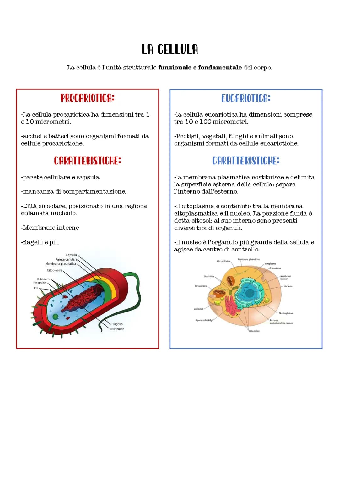 La cellula
