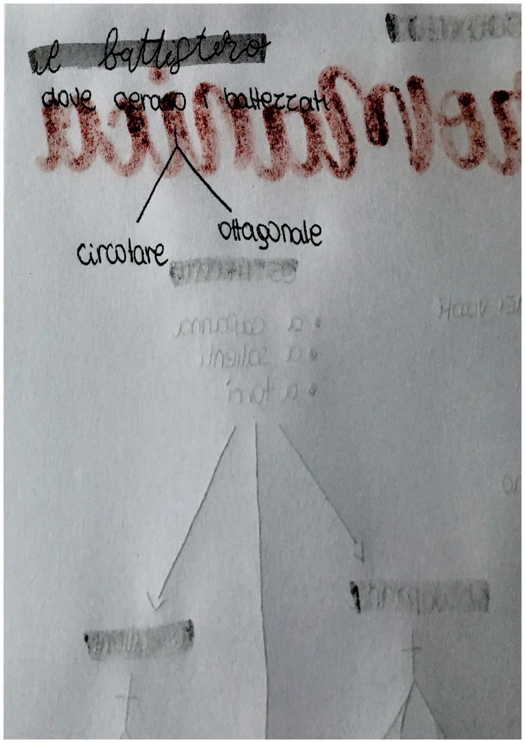 arte romanica
LA CHIESA ROHANICA
• i muri aumentano sugli spazi vuoti
PIANTA
• a croce Batina
• tre navate
·
•abside racchiude il presbiteri