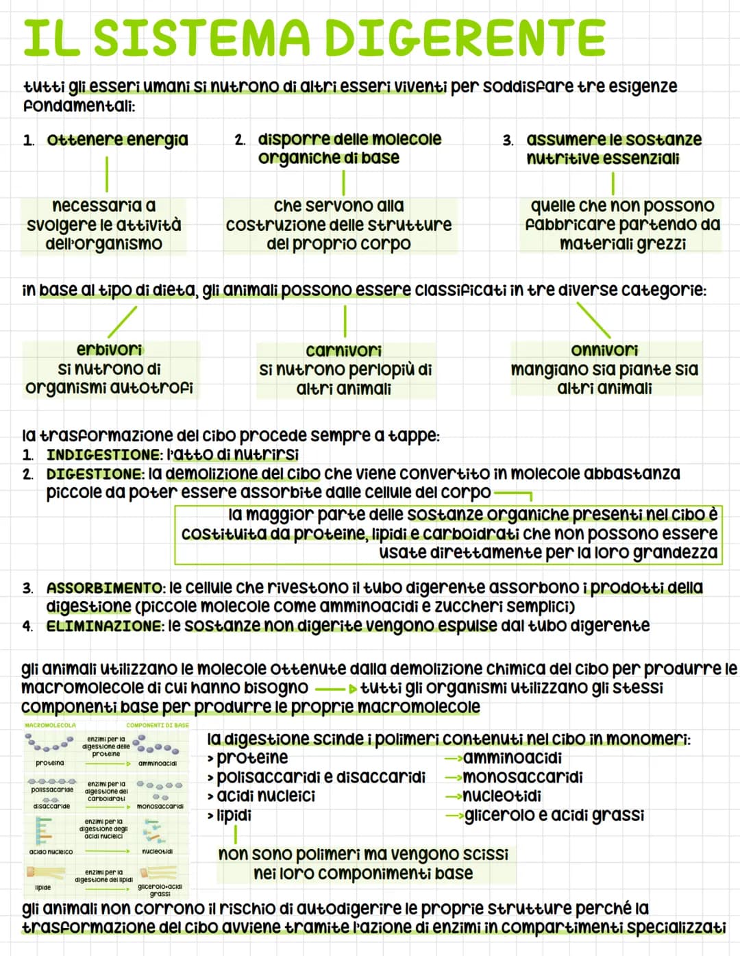 IL SISTEMA DIGERENTE
tutti gli esseri umani si nutrono di altri esseri viventi per soddisfare tre esigenze
Fondamentali:
1. Ottenere energia