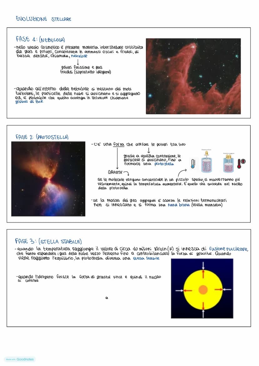 SCIENZE DELLA
TERRA
Made with Goodnotes LA SFERA CELESTE
- nel corso della notte le stelle si muovono tutte insieme (l'impressione di far pa