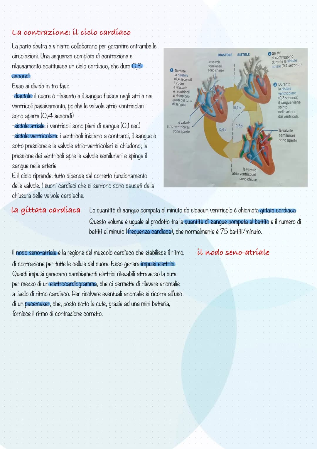il cuore
Il cuore è l'organo cruciale del sistema cardiovascolare: pompa contemporaneamente il sangue povero di ossigeno ai polmoni e il
san